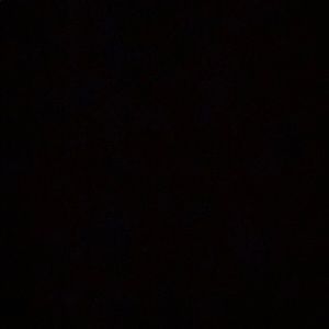 Meet your Posher, Tory